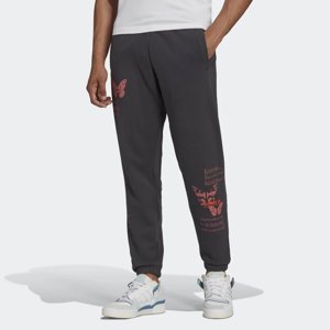 adidas Originals Adventure C-Butterfly Carbon Pants - Férfi - Nadrág adidas Originals - Fekete - HF4788 - Méret: M